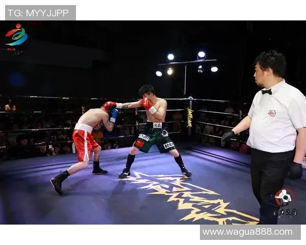 帕弗里克与泰勒的巅峰对决谁能在拳坛中脱颖而出